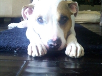 maddie