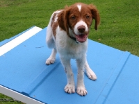 sara-on-a-frame