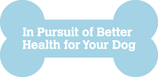 Our Motto In Pursuit of Better Health for your Dog